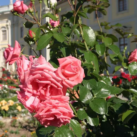 Hotel Western Favorit Ludwigsburg
